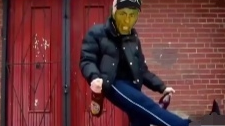 老八不列